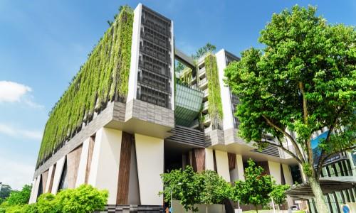 可持续建筑技术：环保建筑材料和实践的进步 - 诺云路远科技资讯网