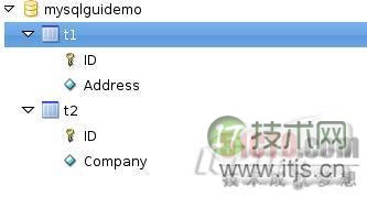 通向MySQL神秘王国的图形化之路(图2)
