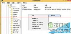 如何修改windows 7电脑中Office2013的登录方式？ - 诺云路远科技资讯网