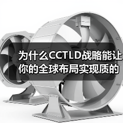 为什么CCTLD战略能让你的全球布局实现质的飞跃？(图4)