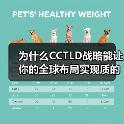为什么CCTLD战略能让你的全球布局实现质的飞跃？(图3)