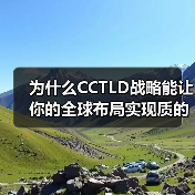 为什么CCTLD战略能让你的全球布局实现质的飞跃？(图2)