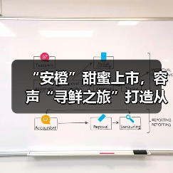 “安橙”甜蜜上市,容声“寻鲜之旅”打造从田间到舌尖的价值共享链(图2) “安橙”甜蜜上市,容声“寻鲜之旅”打造从田间到舌尖的价值共享链(图2)