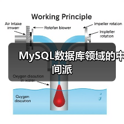MySQL数据库领域的中间派(图4) MySQL数据库领域的中间派(图4)