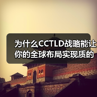 为什么CCTLD战略能让你的全球布局实现质的飞跃?(图1) 为什么CCTLD战略能让你的全球布局实现质的飞跃?(图1)