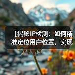 【揭秘IP检测:如何精准定位用户位置,实现内容个性化】(图2) 【揭秘IP检测:如何精准定位用户位置,实现内容个性化】(图2)