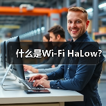 什么是Wi-Fi HaLow?(图4) 什么是Wi-Fi HaLow?(图4)