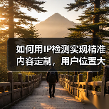 如何用IP检测实现精准内容定制,用户位置大揭秘!(图2) 如何用IP检测实现精准内容定制,用户位置大揭秘!(图2)