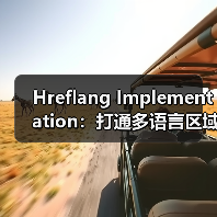 Hreflang Implementation：打通多语言区域的精准通路(图1)