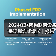 2024年联网物联网设备呈现爆炸式增长|报告(图3) 2024年联网物联网设备呈现爆炸式增长|报告(图3)