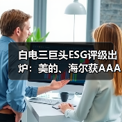 白电三巨头ESG评级出炉：美的、海尔获AAApi级，格力获AApi级(图4)