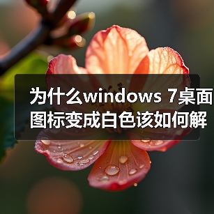 为什么windows 7桌面图标变成白色该如何解决(图4) 为什么windows 7桌面图标变成白色该如何解决(图4)