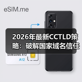 2026年最新CCTLD策略:破解国家域名信任密码的秘密(图3) 2026年最新CCTLD策略:破解国家域名信任密码的秘密(图3)