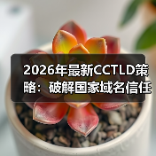 2026年最新CCTLD策略:破解国家域名信任密码的秘密(图4) 2026年最新CCTLD策略:破解国家域名信任密码的秘密(图4)