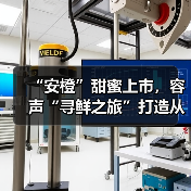“安橙”甜蜜上市,容声“寻鲜之旅”打造从田间到舌尖的价值共享链(图4) “安橙”甜蜜上市,容声“寻鲜之旅”打造从田间到舌尖的价值共享链(图4)