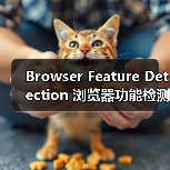 Browser Feature Detection 浏览器功能检测:渐进增强与兼容处理的秘密武器(图3) Browser Feature Detection 浏览器功能检测:渐进增强与兼容处理的秘密武器(图3)