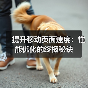 提升移动页面速度：性能优化的终极秘诀(图2)