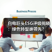 白电巨头ESG评级揭晓:绿色转型谁领先?(图4) 白电巨头ESG评级揭晓:绿色转型谁领先?(图4)