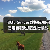 SQL Server数据库如何使用存储过程造批量数据(图1) SQL Server数据库如何使用存储过程造批量数据(图1)