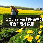 SQL Server数据库中如何合并表格数据(图2) SQL Server数据库中如何合并表格数据(图2)