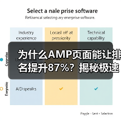 为什么AMP页面能让排名提升87%？揭秘极速加载背后那些鲜为人知的秘密(图2)