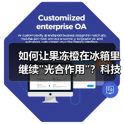 如何让果冻橙在冰箱里继续 如何让果冻橙在冰箱里继续光合作用?科技赋能乡村振兴新路径(图3)