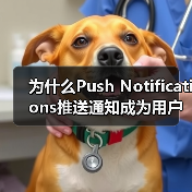 为什么Push Notifications推送通知成为用户重新参与的秘密武器？(图1)