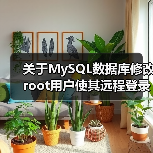 关于MySQL数据库修改root用户使其远程登录的说明(图3) 关于MySQL数据库修改root用户使其远程登录的说明(图3)