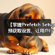 【掌握Prefetch Setup 预获取设置,让用户行为引领网站极速加载】(图3) 【掌握Prefetch Setup 预获取设置,让用户行为引领网站极速加载】(图3)