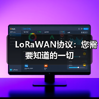 LoRaWAN协议:您需要知道的一切(图3) LoRaWAN协议:您需要知道的一切(图3)