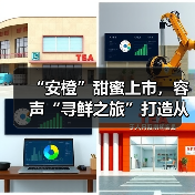 “安橙”甜蜜上市,容声“寻鲜之旅”打造从田间到舌尖的价值共享链(图4) “安橙”甜蜜上市,容声“寻鲜之旅”打造从田间到舌尖的价值共享链(图4)