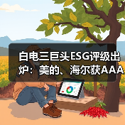白电三巨头ESG评级出炉:美的、海尔获AAApi级,格力获AApi级(图4) 白电三巨头ESG评级出炉:美的、海尔获AAApi级,格力获AApi级(图4)