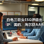 白电三巨头ESG评级出炉:美的、海尔获AAApi级,格力获AApi级(图2) 白电三巨头ESG评级出炉:美的、海尔获AAApi级,格力获AApi级(图2)