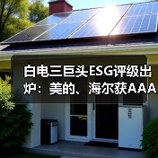 白电三巨头ESG评级出炉:美的、海尔获AAApi级,格力获AApi级(图3) 白电三巨头ESG评级出炉:美的、海尔获AAApi级,格力获AApi级(图3)
