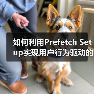 如何利用Prefetch Setup实现用户行为驱动的预测性加载(图3)