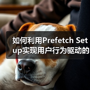 如何利用Prefetch Setup实现用户行为驱动的预测性加载(图4)