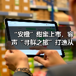 “安橙”甜蜜上市,容声“寻鲜之旅”打造从田间到舌尖的价值共享链(图2) “安橙”甜蜜上市,容声“寻鲜之旅”打造从田间到舌尖的价值共享链(图2)