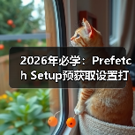 2026年必学:Prefetch Setup预获取设置打造极速网站体验(图3) 2026年必学:Prefetch Setup预获取设置打造极速网站体验(图3)