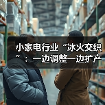 小家电行业“冰火交织”:一边调整一边扩产(图4) 小家电行业“冰火交织”:一边调整一边扩产(图4)