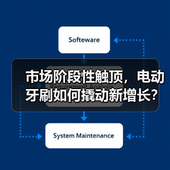 市场阶段性触顶,电动牙刷如何撬动新增长?(图4) 市场阶段性触顶,电动牙刷如何撬动新增长?(图4)