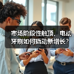 市场阶段性触顶,电动牙刷如何撬动新增长?(图2) 市场阶段性触顶,电动牙刷如何撬动新增长?(图2)