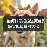 如何科学把控资源优先级实现项目最大化(图2) 如何科学把控资源优先级实现项目最大化(图2)