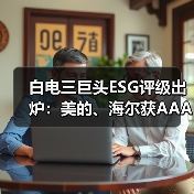 白电三巨头ESG评级出炉:美的、海尔获AAApi级,格力获AApi级(图3) 白电三巨头ESG评级出炉:美的、海尔获AAApi级,格力获AApi级(图3)