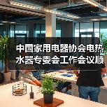 中国家用电器协会电热水器专委会工作会议顺利召开(图2) 中国家用电器协会电热水器专委会工作会议顺利召开(图2)