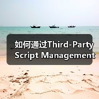 如何通过Third-Party Script Management实现高效网站优化(图3)