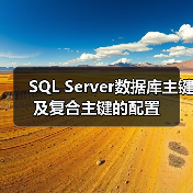 SQL Server数据库主键及复合主键的配置(图4)
