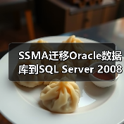 SSMA迁移Oracle数据库到SQL Server 2008的详细步骤与指南(图1)