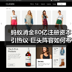 蚂蚁消金80亿注册资本引热议 巨头阵容如何布局消费金融赛道(图2)