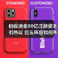 蚂蚁消金80亿注册资本引热议 巨头阵容如何布局消费金融赛道(图3)