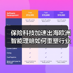 保险科技加速出海欧洲 智能理赔如何重塑行业格局(图4) 保险科技加速出海欧洲 智能理赔如何重塑行业格局(图3)